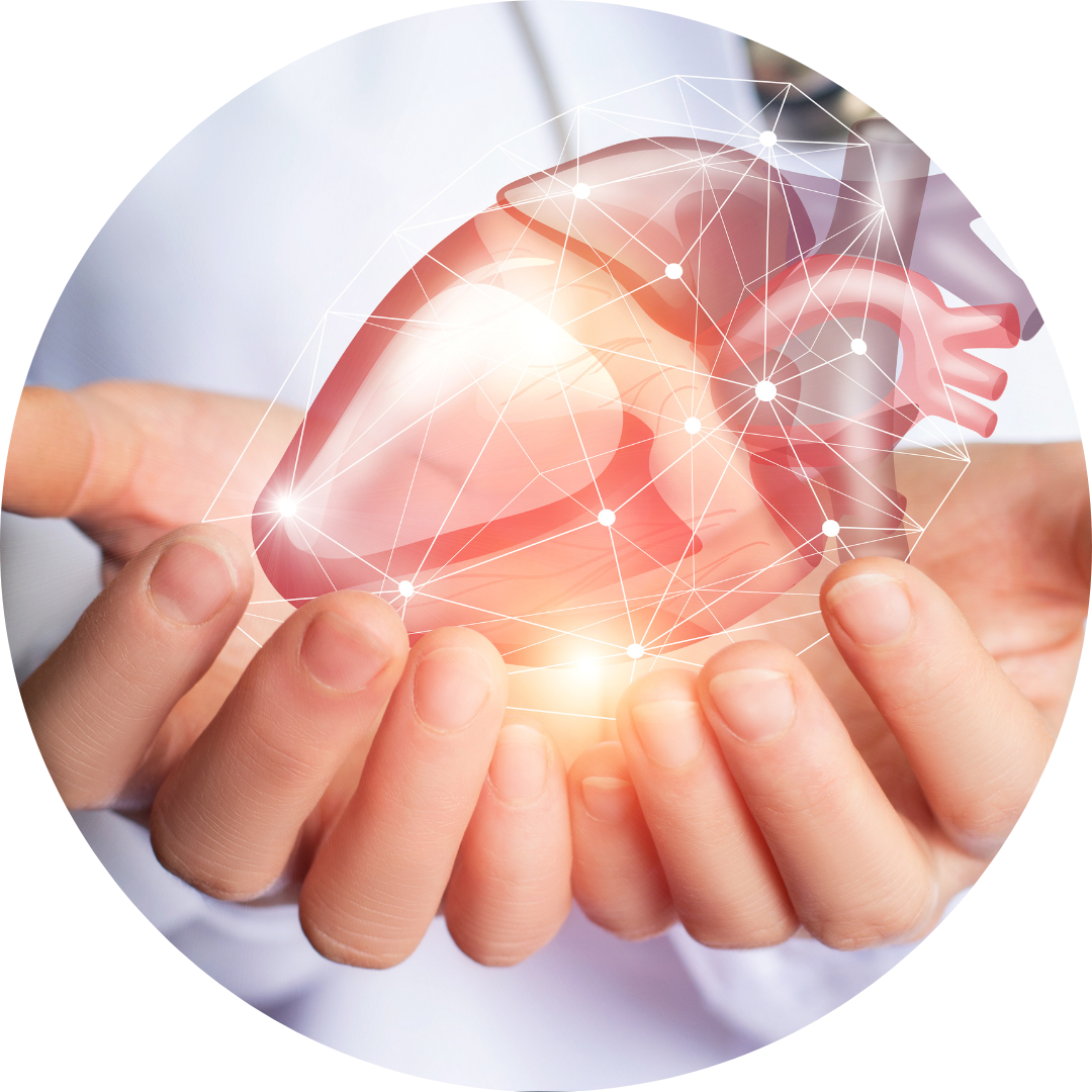 Cardiologia - Dr José Roberto Tavares Médico Cardiologista